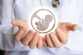 Obstetrics and Gynaecology (OG)