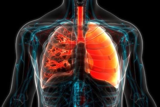 Pulmonary