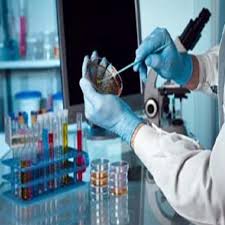 Laboratory Facilities